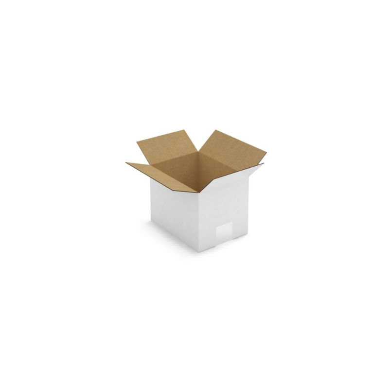 Caisse carton blanche simple cannelure RAJA 20x15x15 cm