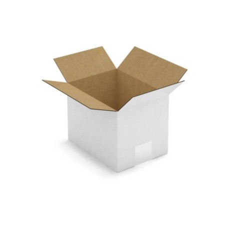 Caisse carton blanche simple cannelure RAJA 20x15x15 cm