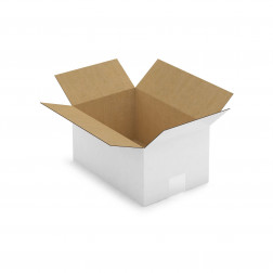 Caisse carton blanche simple cannelure RAJA 20x15x15 cm