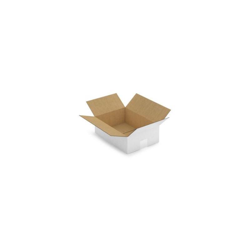 Caisse carton blanche simple cannelure RAJA 31x22x10 cm