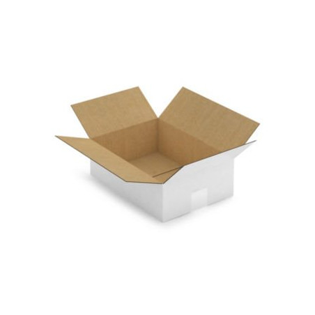 Caisse carton blanche simple cannelure RAJA 31x22x10 cm