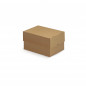 Caisse carton télescopique brune simple cannelure RAJA 33x25x5/9 cm