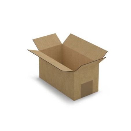 Caisse carton brune simple cannelure RAJA 20x10x10 cm