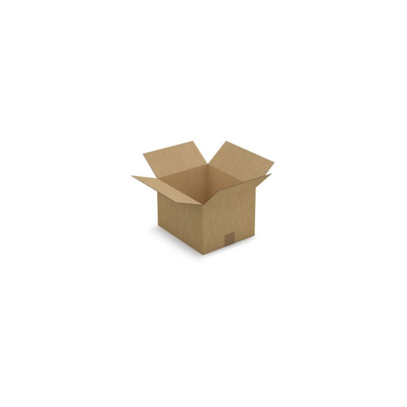 Caisse carton brune simple cannelure RAJA 30x25x20 cm