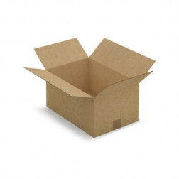 Caisse carton brune simple cannelure RAJA 40x27x20 cm