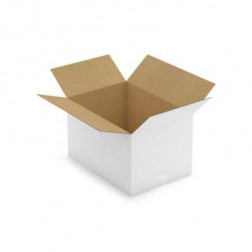 Caisse carton blanche simple cannelure RAJA 50x35x30 cm