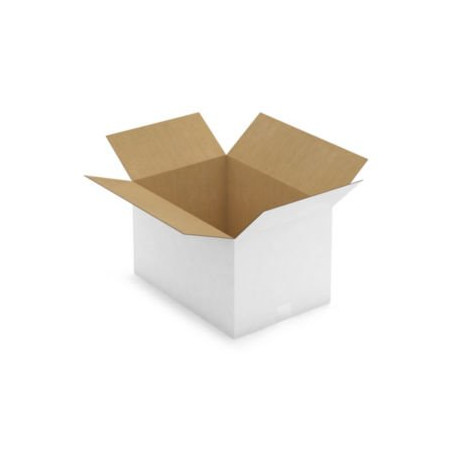 Caisse carton blanche simple cannelure RAJA 50x35x30 cm