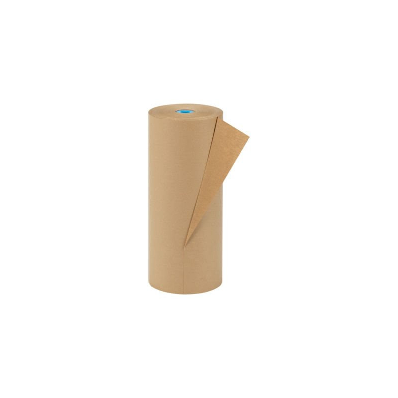 Papier kraft recyclé Eco Qualité standard 70 g/m² en rouleau RAJA 300 m x 100 cm