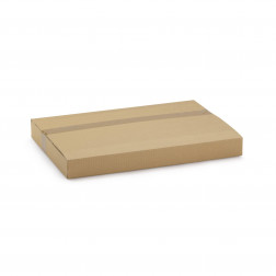 Boîte carton brune avec calage mousse recyclée grand format RAJA 54x41x4,5/9 cm | RAJA