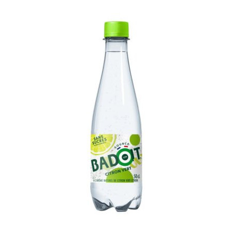 LOT 30 BADOIT CITRON VERT PET 50 CL