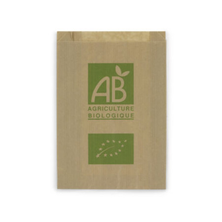 Sachet kraft primeur AB avec soufflets 20x31x7 cm