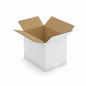 Caisse carton blanche pour plateaux repas 48x31x33 cm