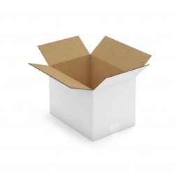 Caisse carton blanche pour plateaux repas 48x31x33 cm