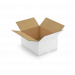 Caisse carton blanche pour plateaux repas 48x31x33 cm