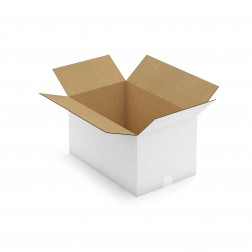 Caisse carton blanche pour plateaux repas 48x31x33 cm