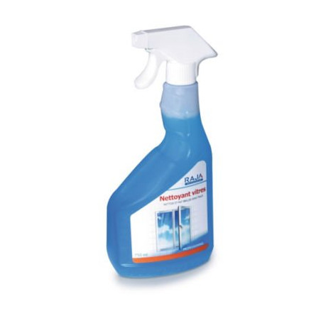 Nettoyant vitres RAJA spray 1 l