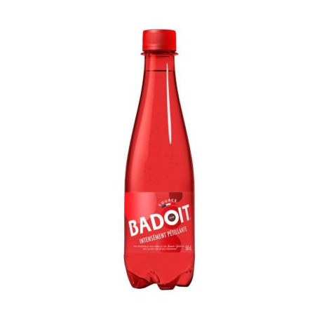 LOT 6 BOUTEILLES BADOIT ROUGE 50 CL