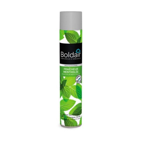 Désodorisant formule sèche BOLDAIR bactéricide menthe 500 ml