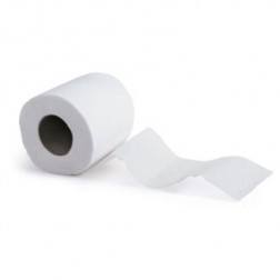 Papier toilette Jumbo confort RAJA mini