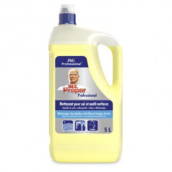 Nettoyant parfumé Mr PROPRE citron 5 L