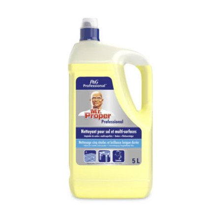 Nettoyant parfumé Mr PROPRE citron 5 L