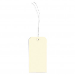 Étiquette américaine cartonnée beige avec attache métallique 125x63 mm