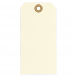 Étiquette américaine cartonnée beige sans attache 160x80 mm